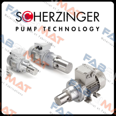 251 fbr (pump end) Scherzinger