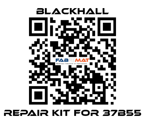 repair kit for 37B55 Blackhall