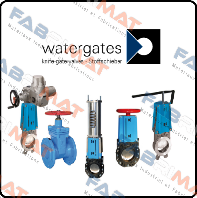 WGE-SS-EPDM-100/PD  Watergates