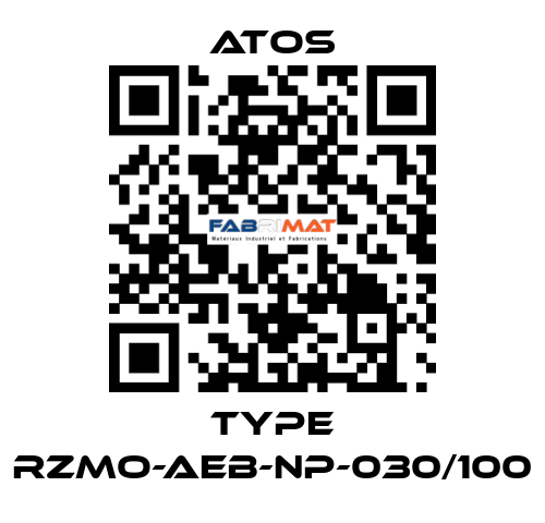 Type RZMO-AEB-NP-030/100 Atos