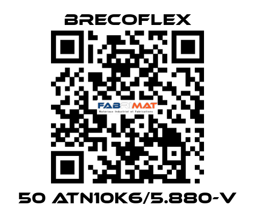 50 ATN10K6/5.880-V Brecoflex