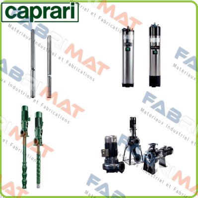 420145 / MECMG100-1029 CAPRARI 