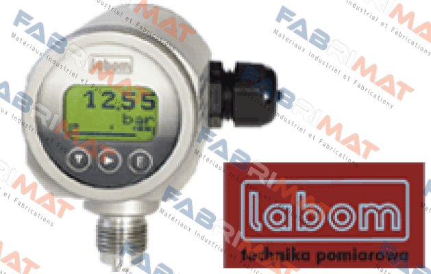 Typ M12 / G1/4 0-6bars Labom
