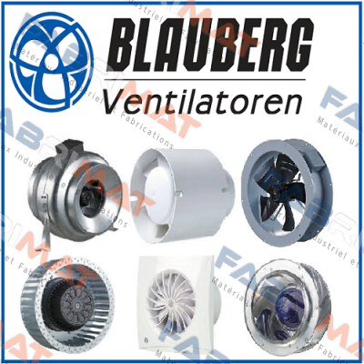 8076800 Blauberg