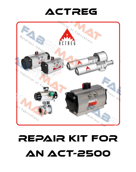repair kit for an ACT-2500 Actreg