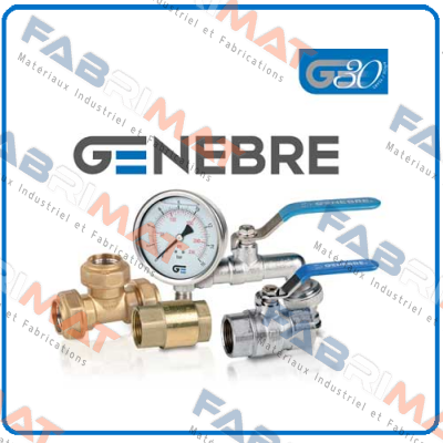 4333 A00 A24V Genebre