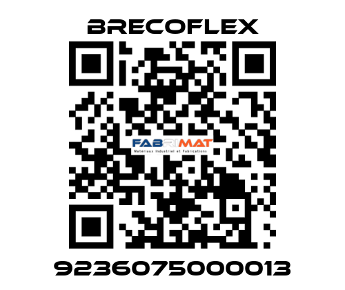 9236075000013 Brecoflex