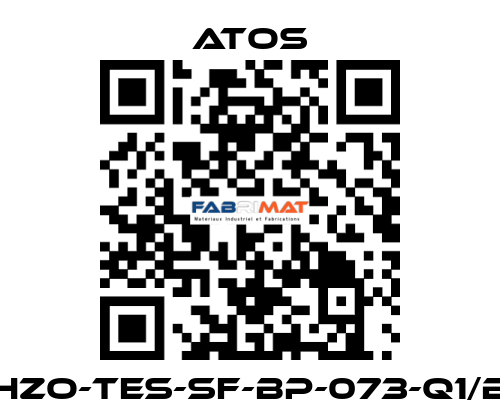 DHZO-TES-SF-BP-073-Q1/BC Atos