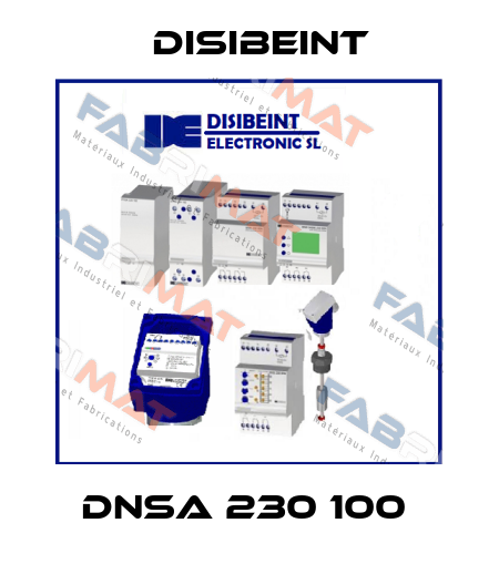 DNSA 230 100  Disibeint