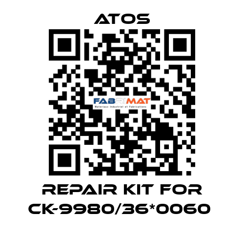 REPAIR KIT FOR CK-9980/36*0060  Atos
