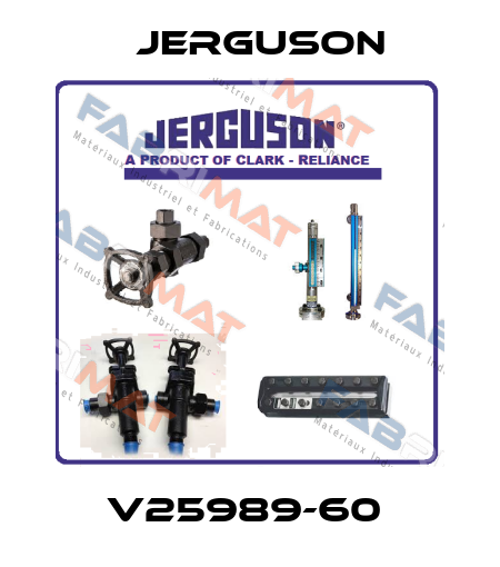 V25989-60  Jerguson