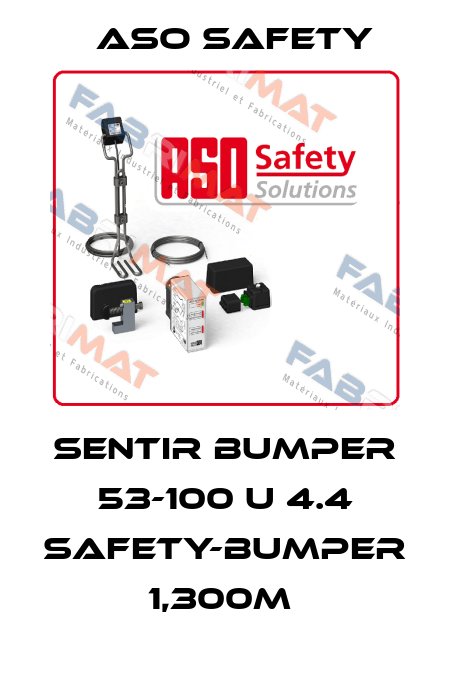 SENTIR bumper 53-100 U 4.4 Safety-Bumper 1,300m  ASO SAFETY