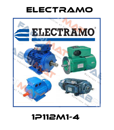 1P112M1-4  Electramo