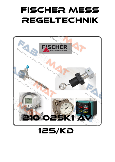 210 025K1 AV 12S/KD  Fischer Mess Regeltechnik