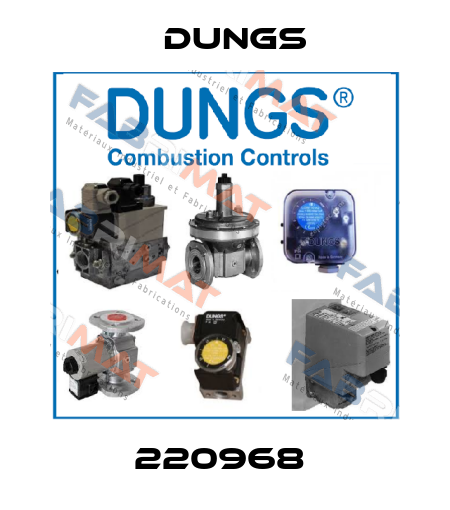 220968  Dungs