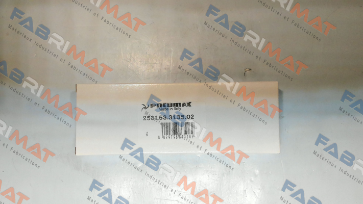 2531.53.31.35.02 (24V/DC) Pneumax