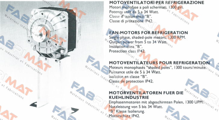 82-2007 Euro Motors Italia