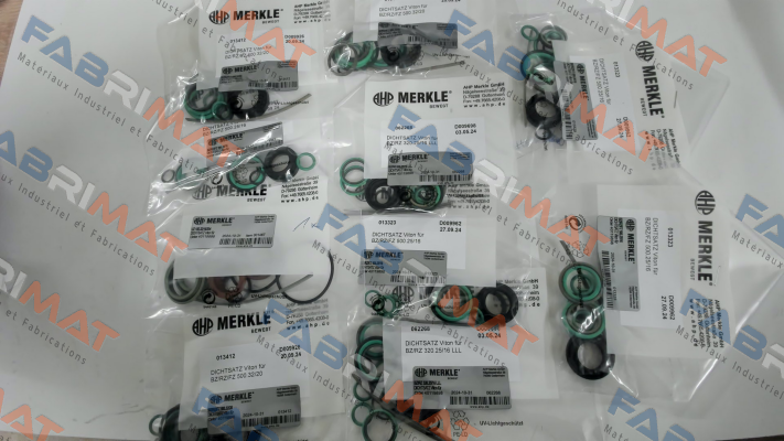 REPAIR KIT FOR BZ 500.32/20.05.201.040.V Merkle