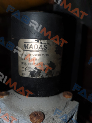 EVP02 202 Madas