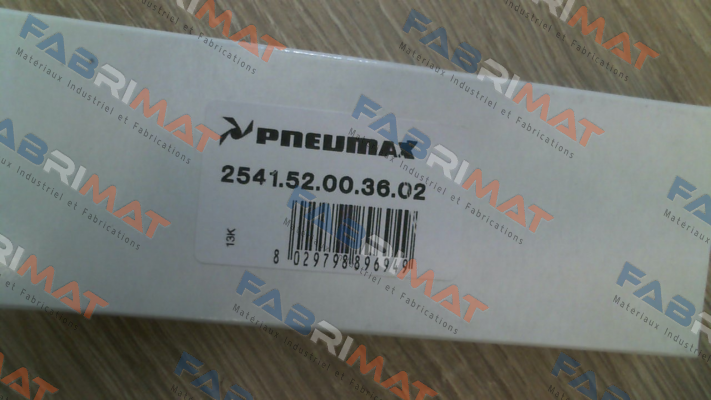 2541.52.00.36.02 Pneumax