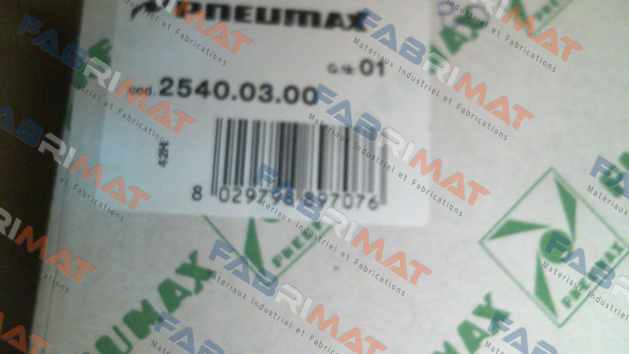 2540.03.00 Pneumax