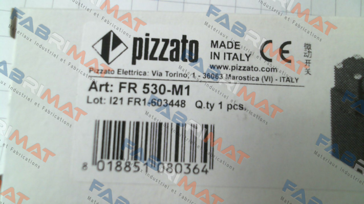 FR 530-M1 Pizzato Elettrica