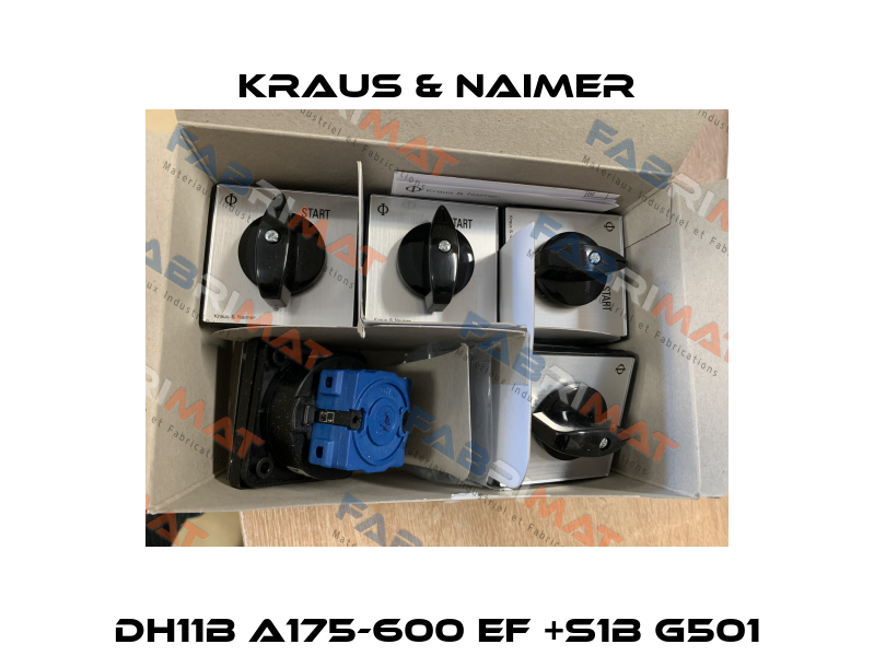 DH11B A175-600 EF +S1B G501 Kraus & Naimer